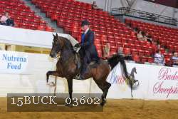 15BUCK_03602 proof