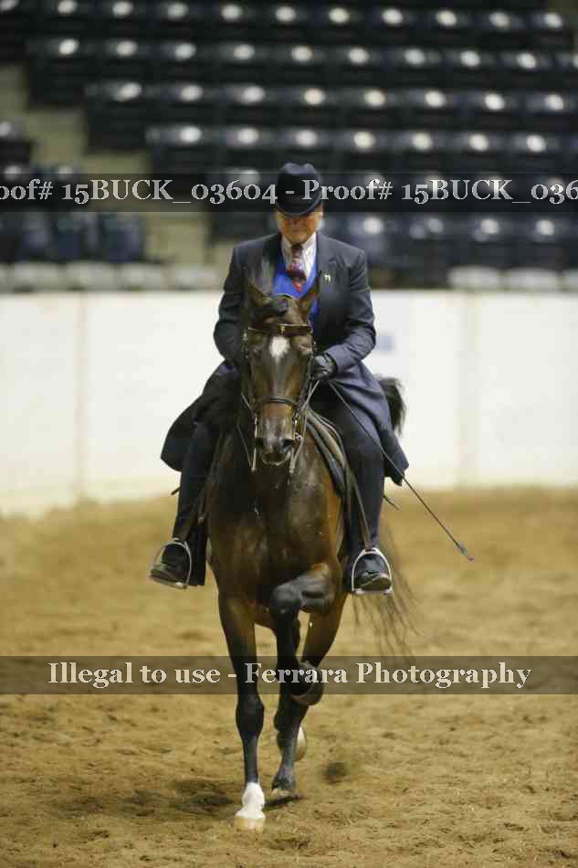 Proof 15BUCK_03604