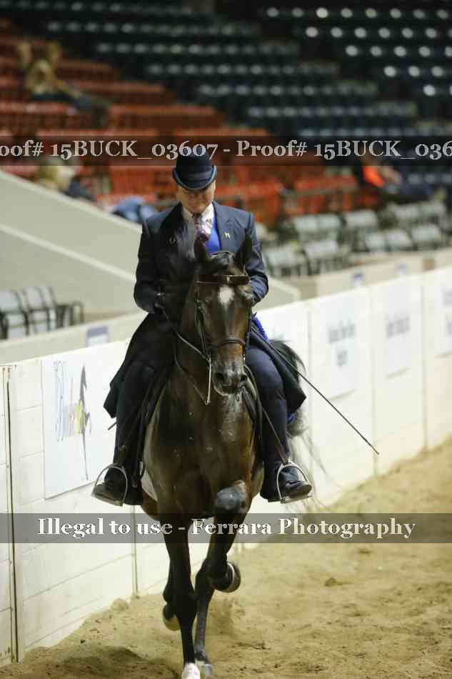 Proof 15BUCK_03607