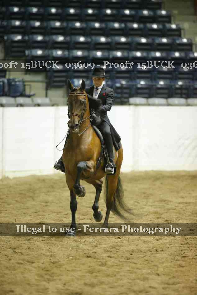 Proof 15BUCK_03609