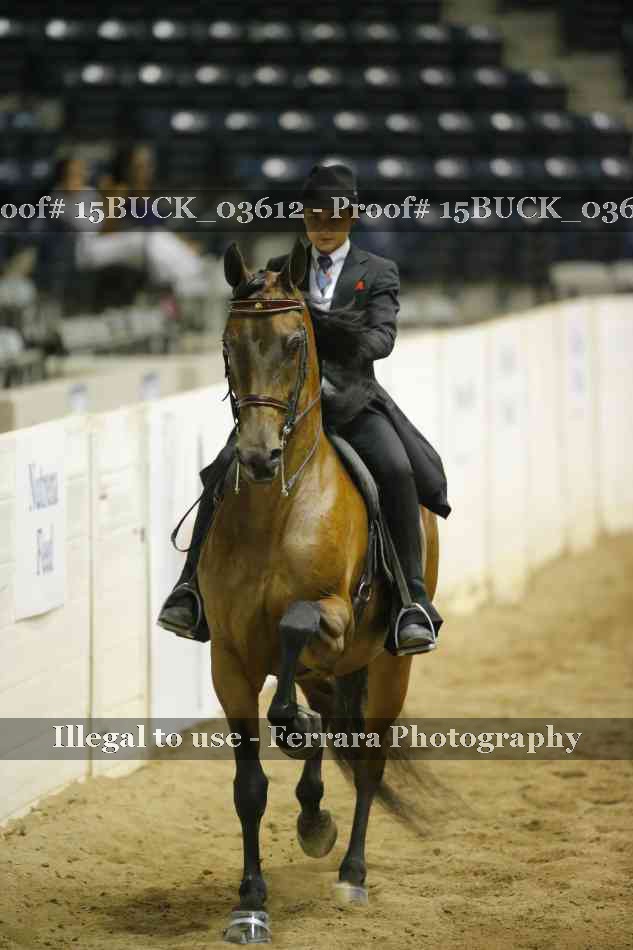 Proof 15BUCK_03612