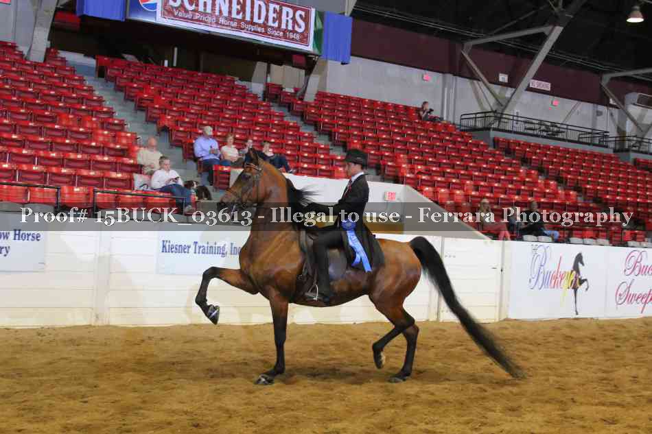 Proof 15BUCK_03613