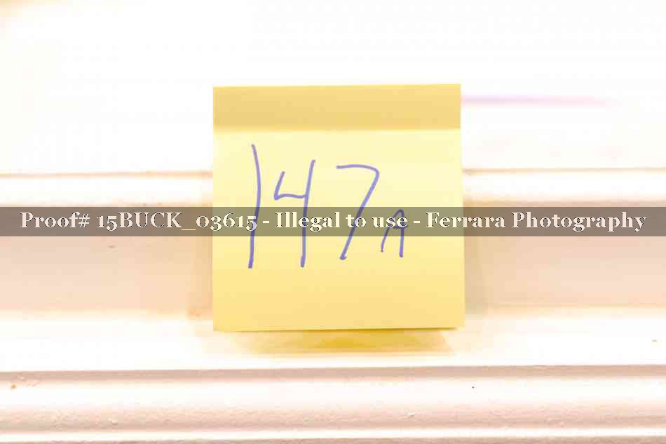 Proof 15BUCK_03615