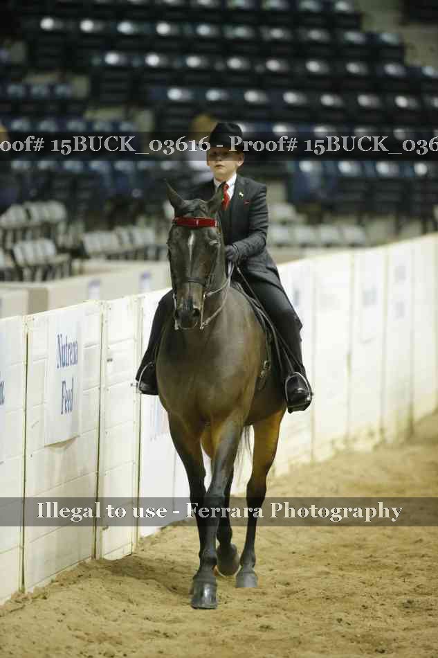 Proof 15BUCK_03616