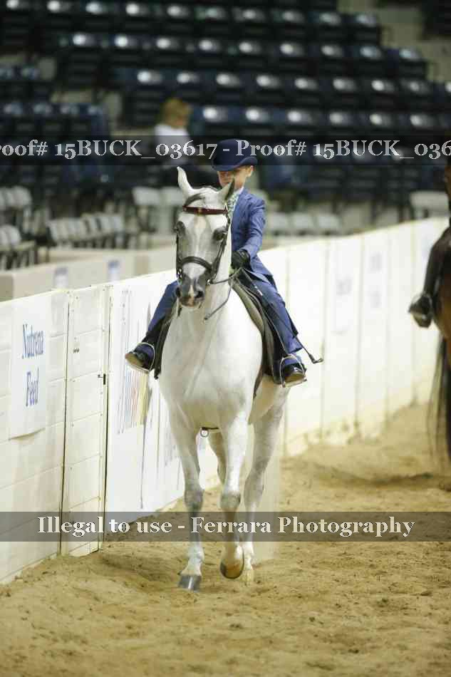 Proof 15BUCK_03617