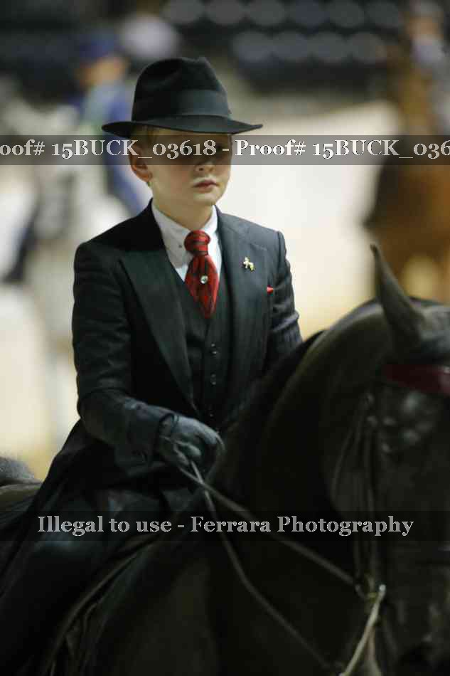 Proof 15BUCK_03618
