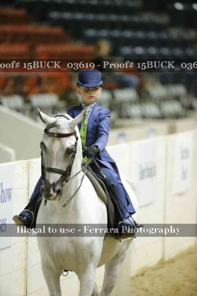 Proof 15BUCK_03619