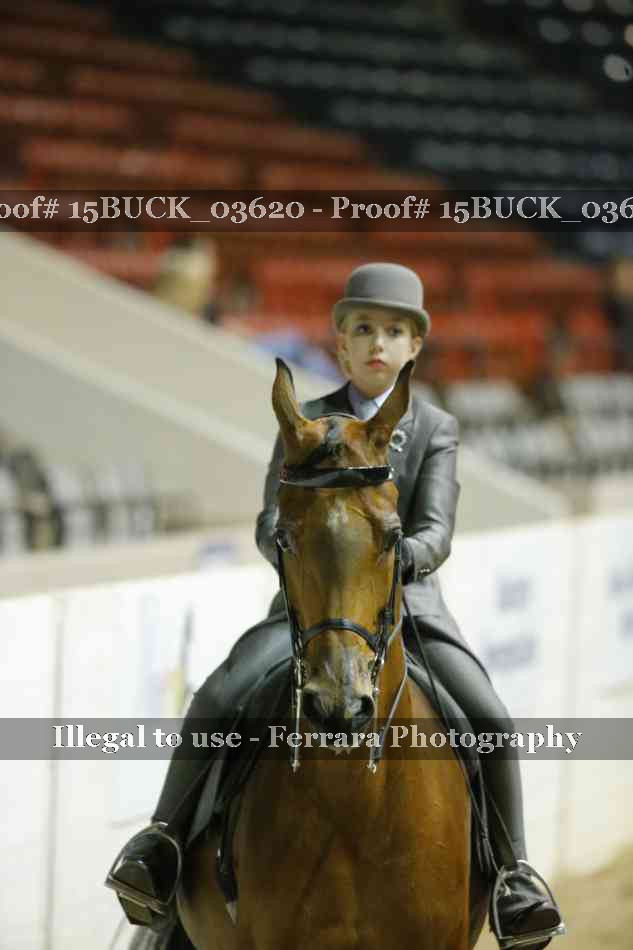 Proof 15BUCK_03620