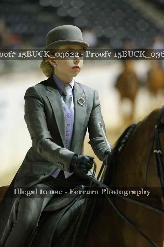 Proof 15BUCK_03622