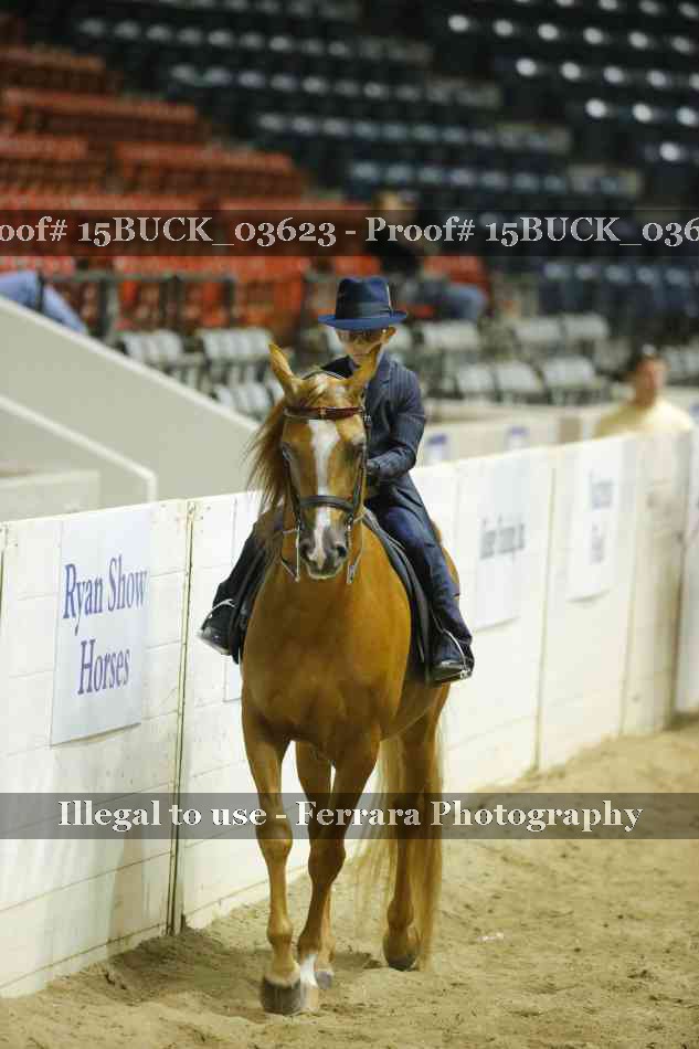 Proof 15BUCK_03623