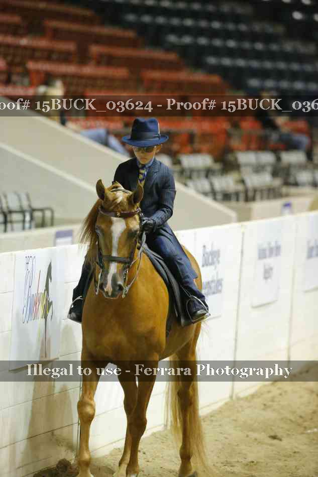 Proof 15BUCK_03624