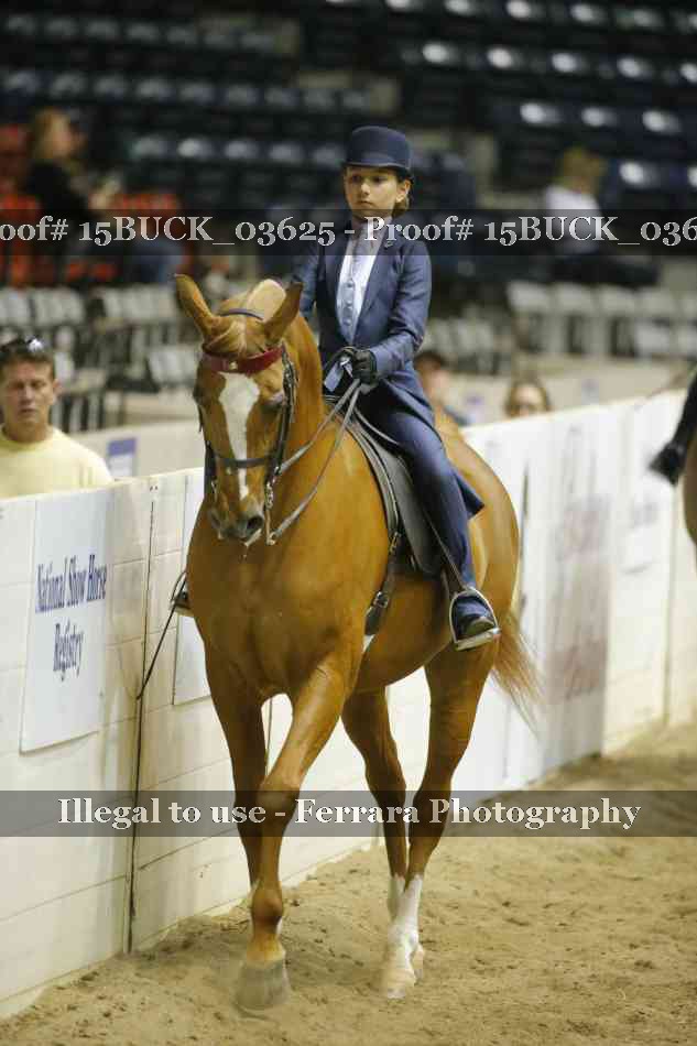Proof 15BUCK_03625