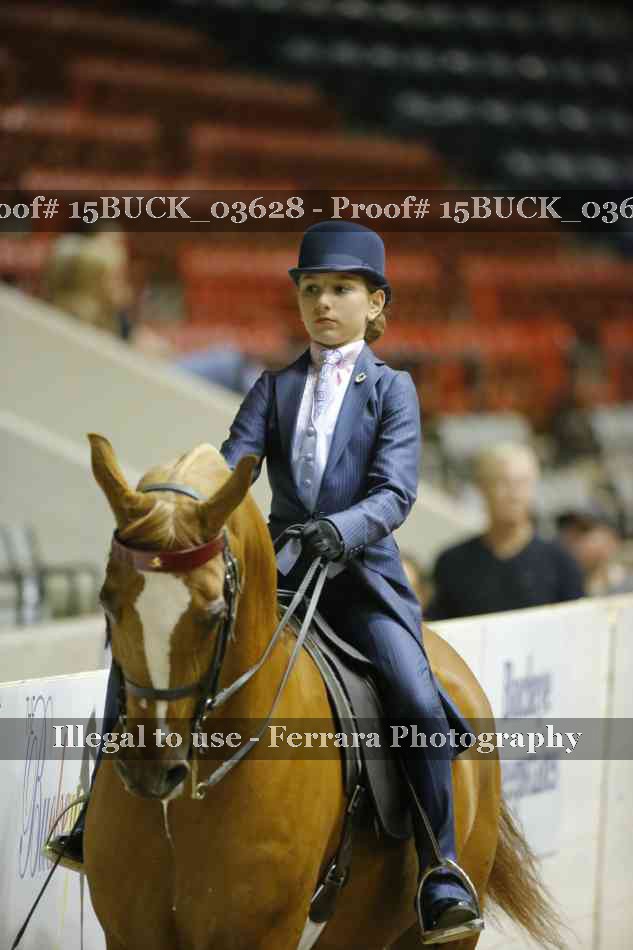 Proof 15BUCK_03628