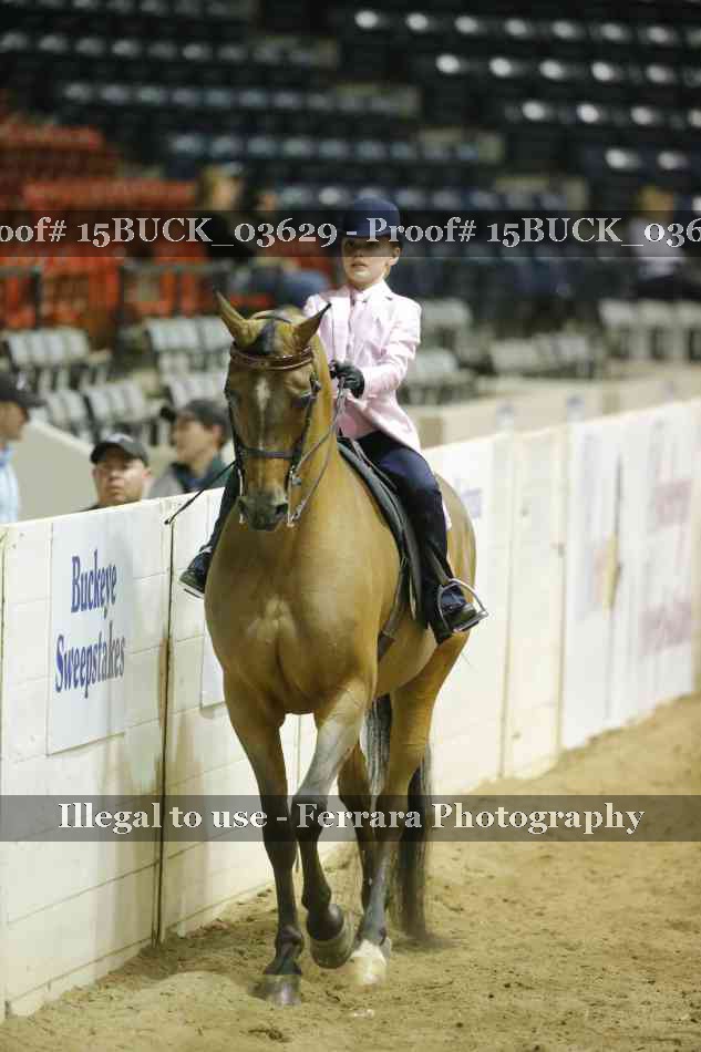 Proof 15BUCK_03629