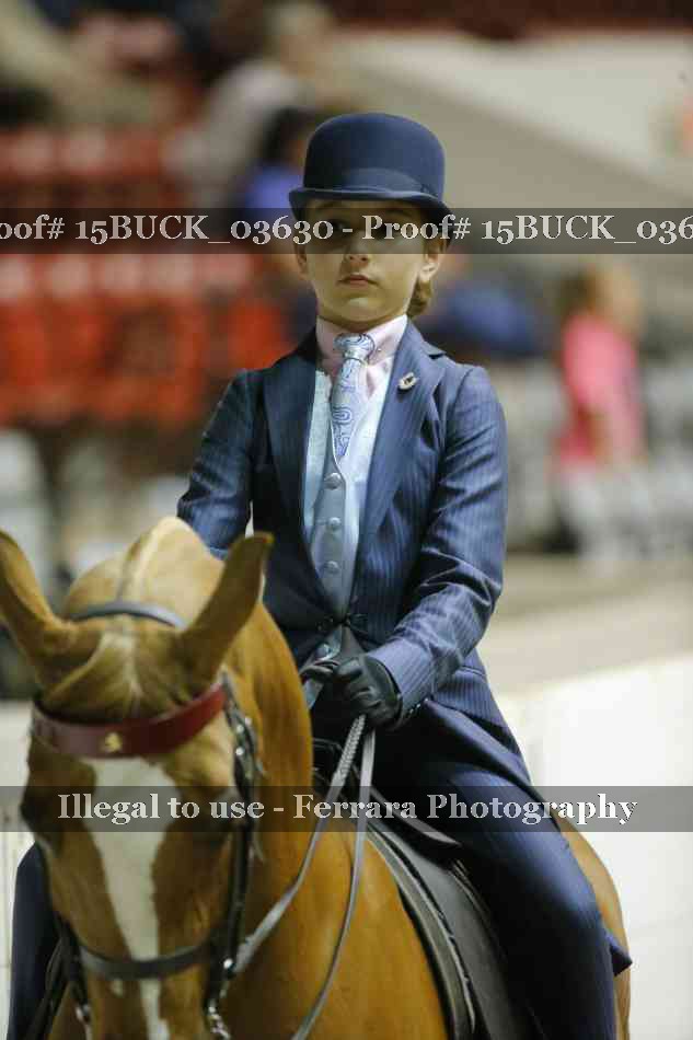 Proof 15BUCK_03630