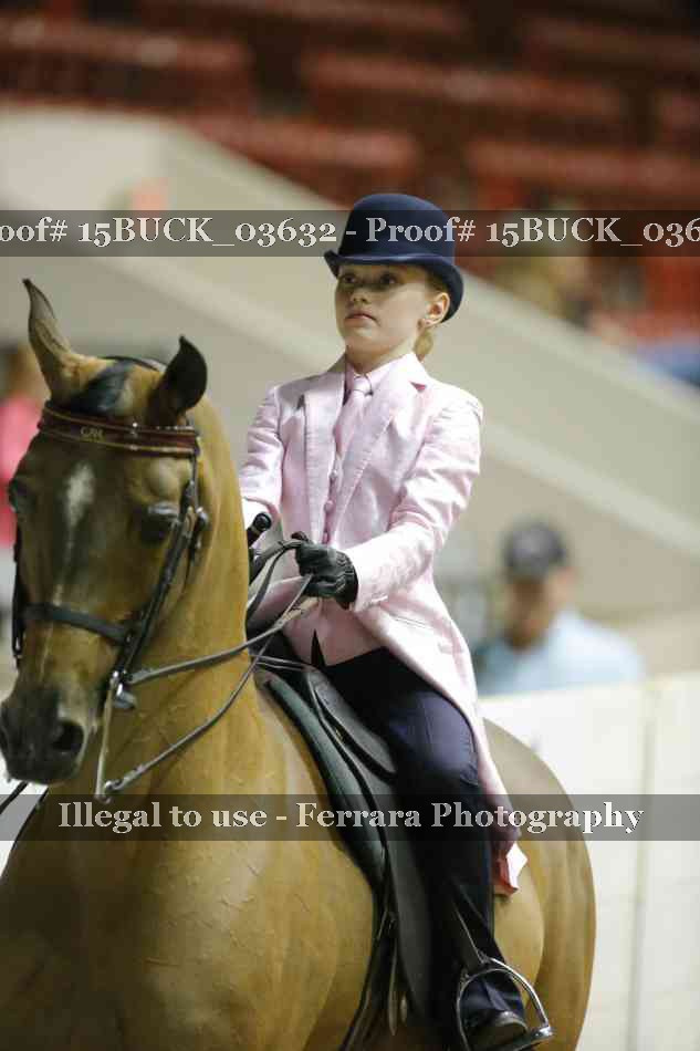 Proof 15BUCK_03632
