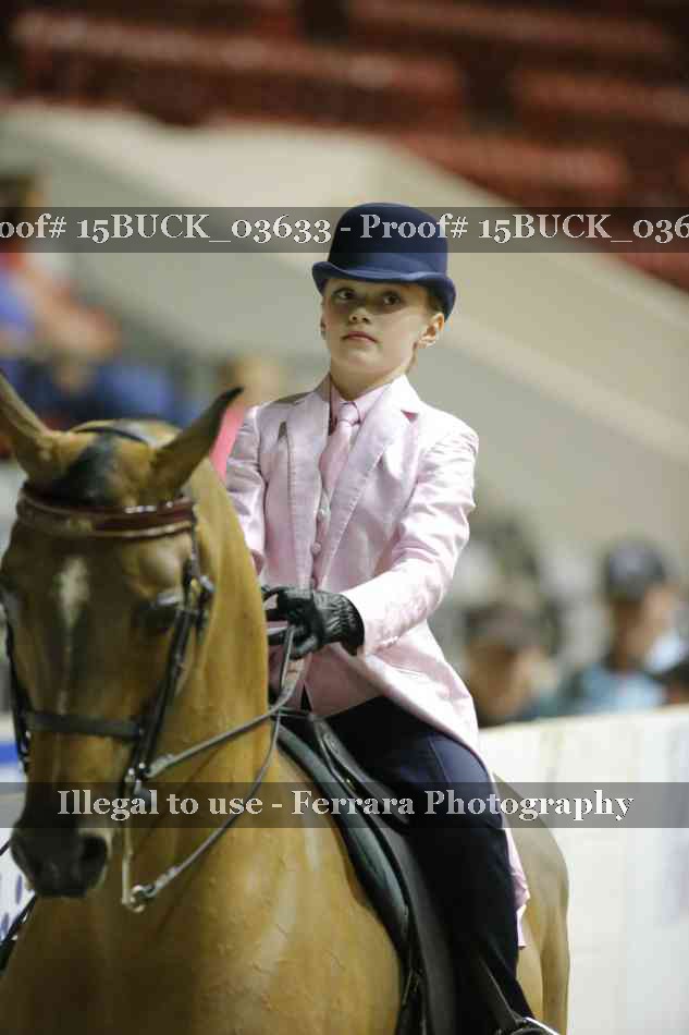 Proof 15BUCK_03633