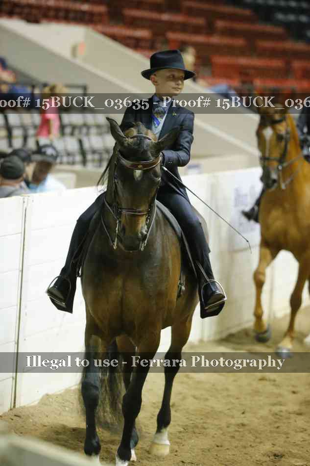 Proof 15BUCK_03635