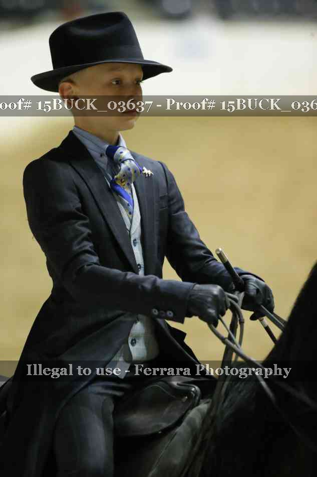 Proof 15BUCK_03637