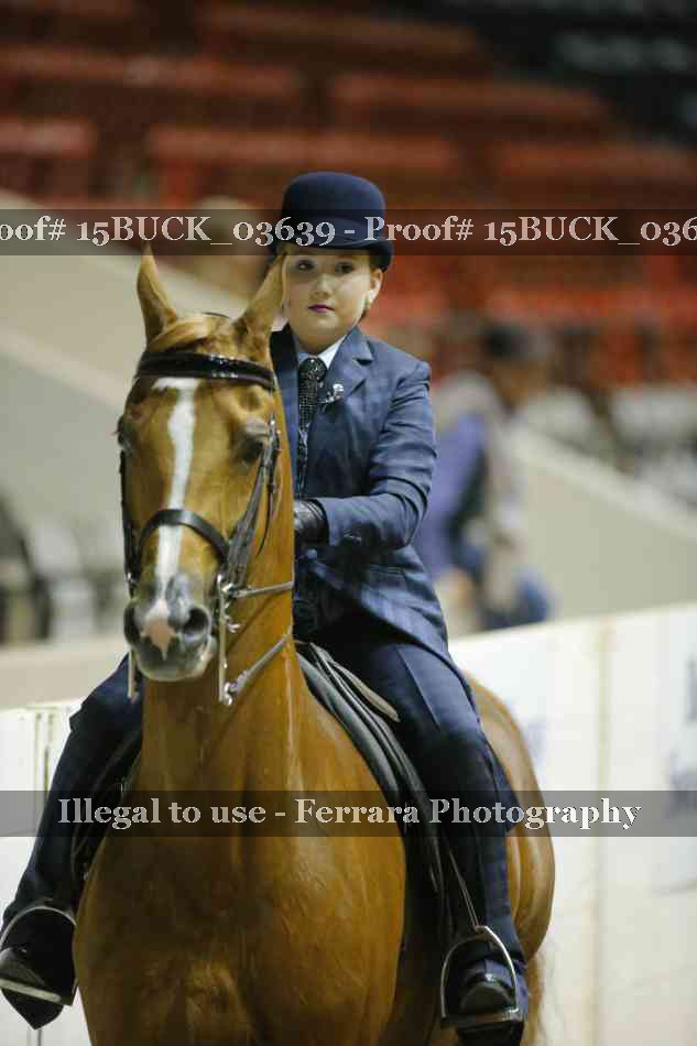 Proof 15BUCK_03639