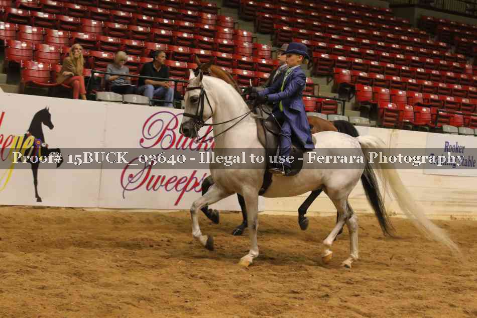 Proof 15BUCK_03640
