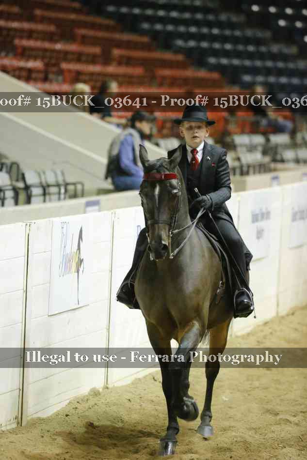 Proof 15BUCK_03641