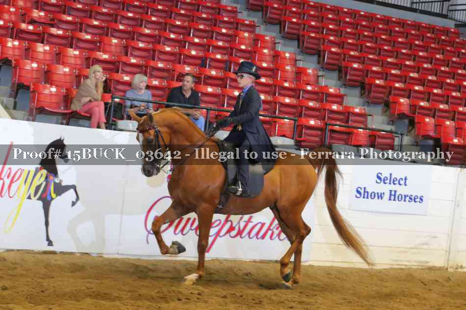 Proof 15BUCK_03642