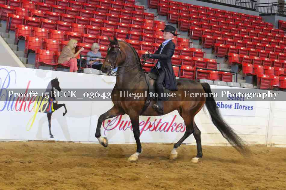 Proof 15BUCK_03643