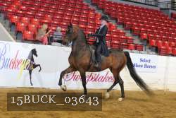 15BUCK_03643 proof