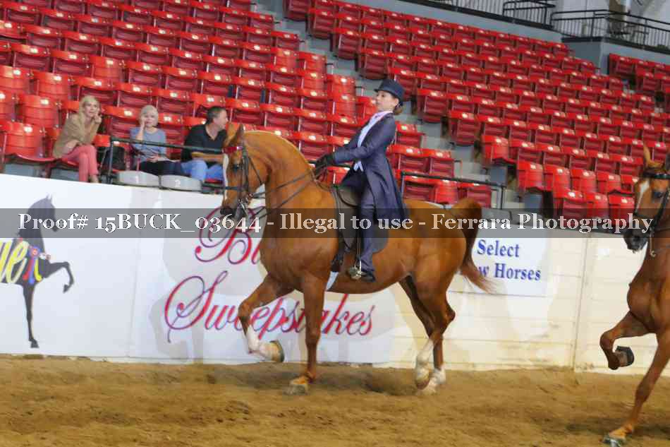 Proof 15BUCK_03644