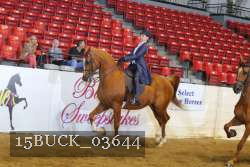 15BUCK_03644 proof