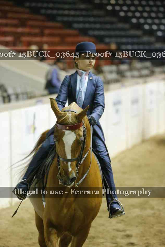 Proof 15BUCK_03645
