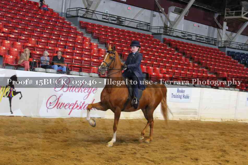 Proof 15BUCK_03646