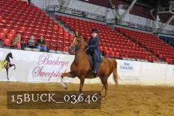 15BUCK_03646 proof