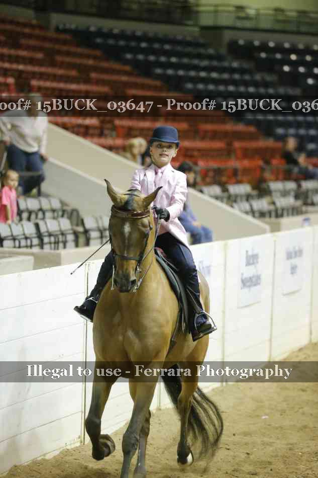 Proof 15BUCK_03647