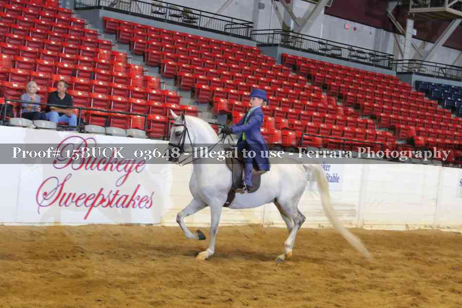Proof 15BUCK_03648