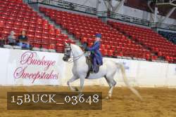 15BUCK_03648 proof