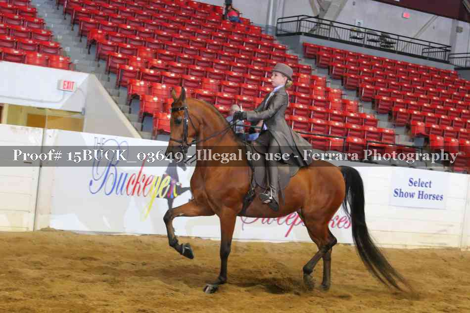Proof 15BUCK_03649