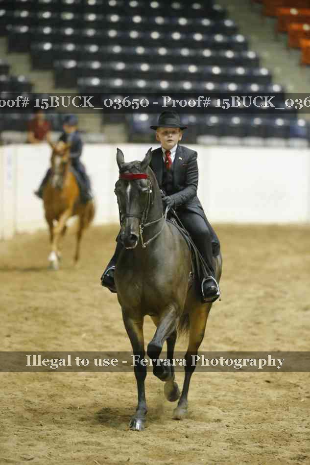 Proof 15BUCK_03650