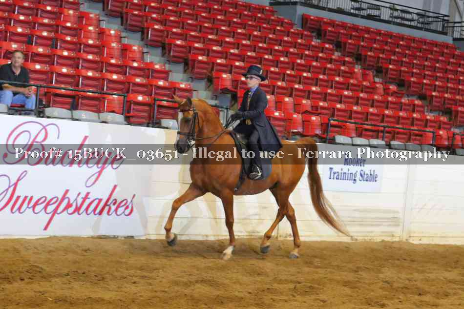 Proof 15BUCK_03651