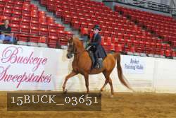 15BUCK_03651 proof