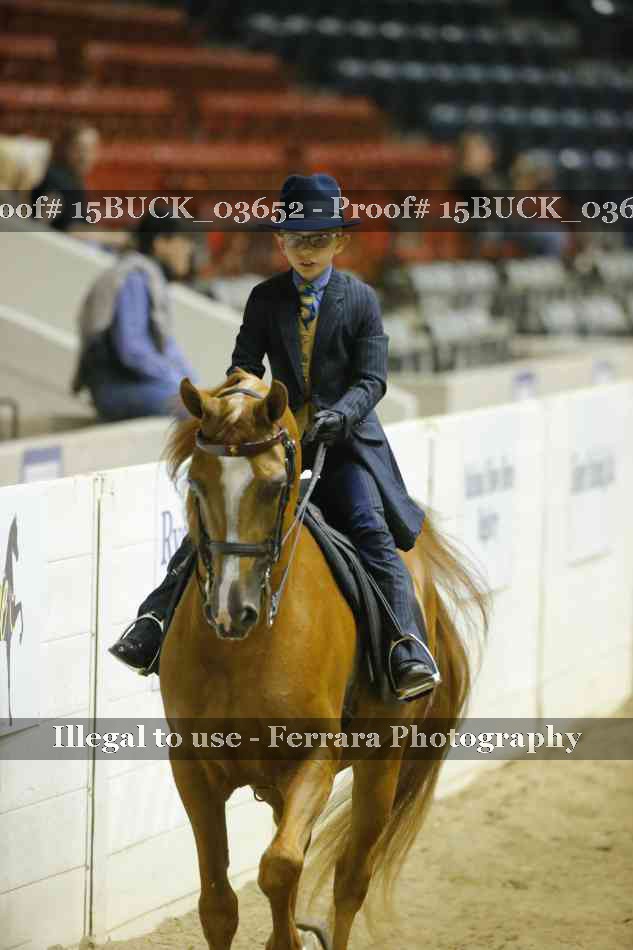 Proof 15BUCK_03652
