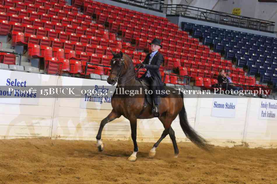Proof 15BUCK_03653