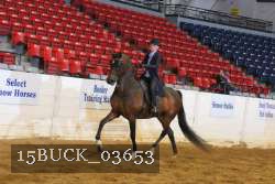 15BUCK_03653 proof