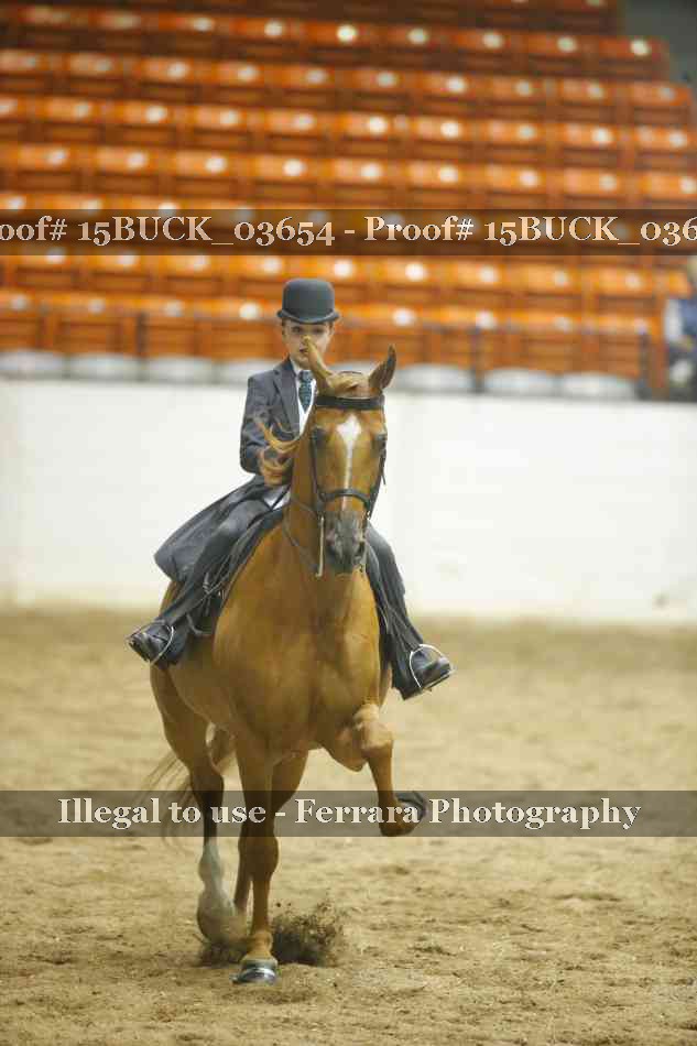 Proof 15BUCK_03654