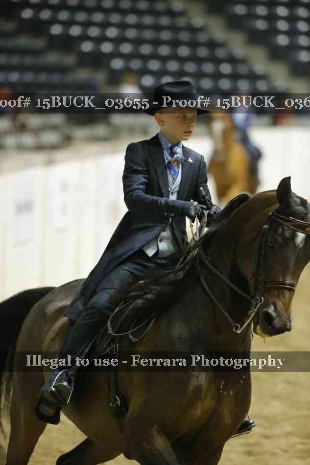 Proof 15BUCK_03655