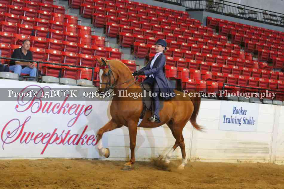 Proof 15BUCK_03656