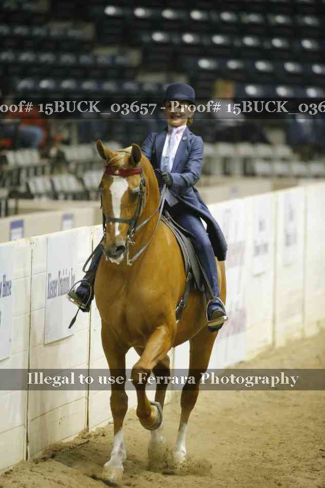 Proof 15BUCK_03657
