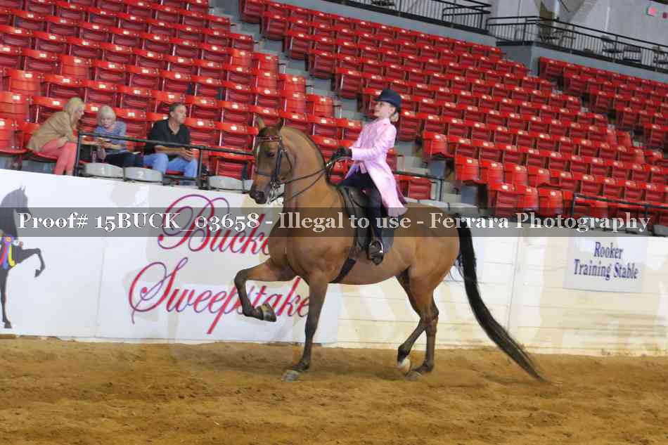 Proof 15BUCK_03658