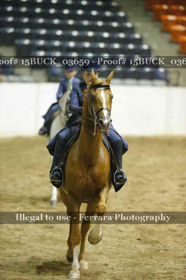 Proof 15BUCK_03659